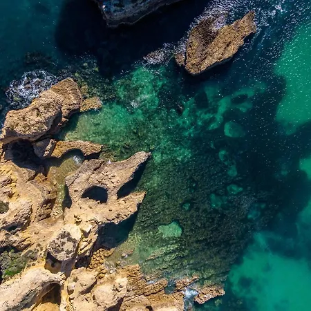 Βίλα Molucas - Moradia Encantadora Com Piscina Aquecivel E Bbq - Αλμπουφέιρα